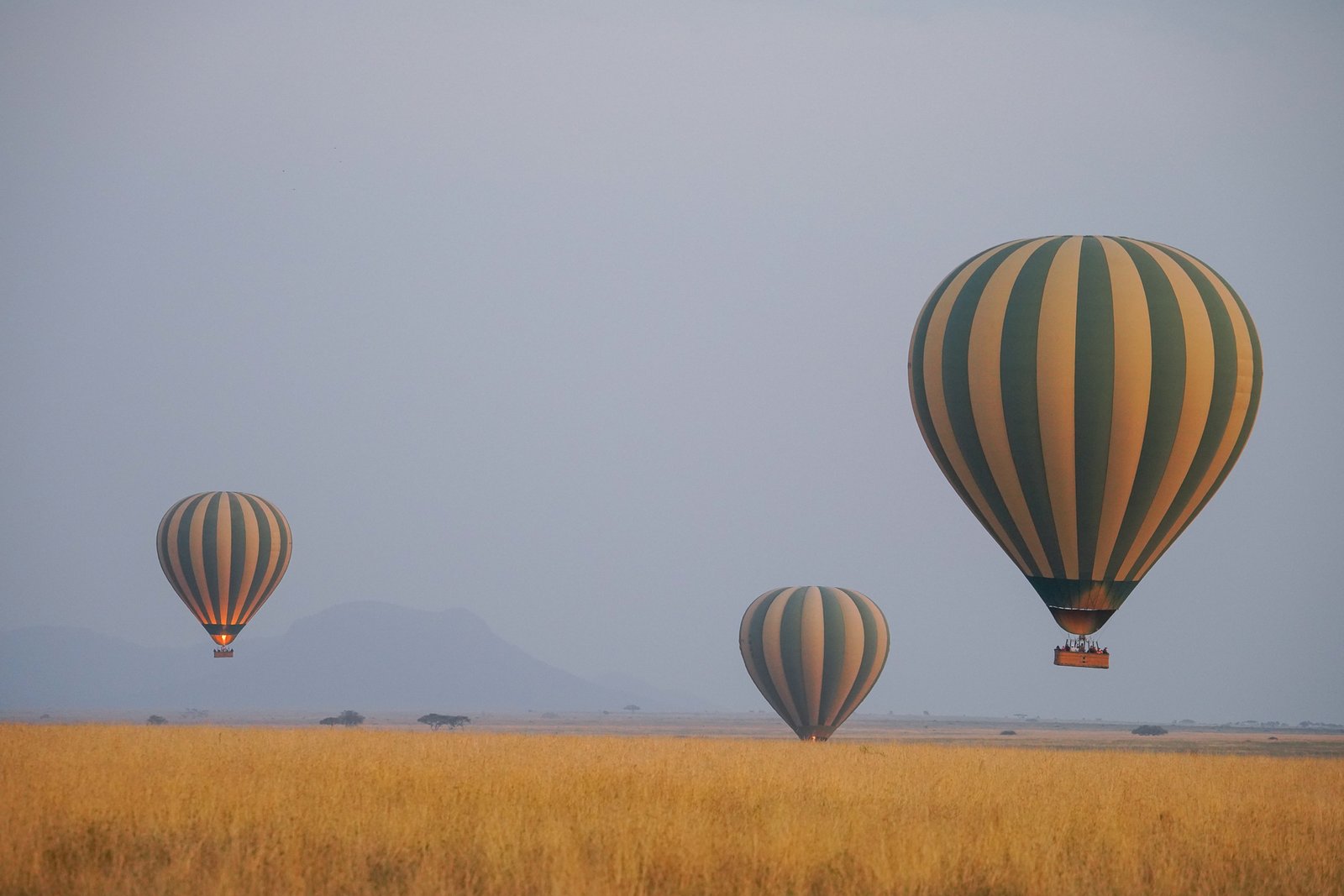 Hot Air Balloon Safari