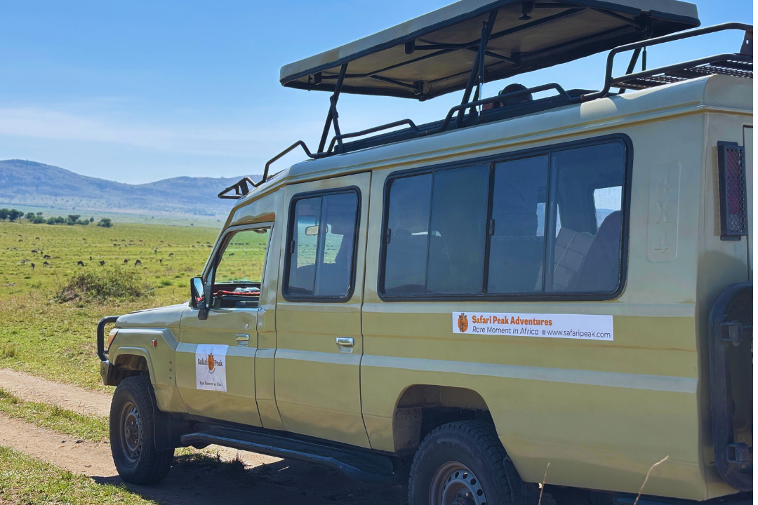 Safari Jeep