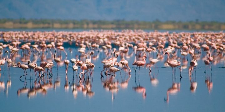 Lake Natron Activities