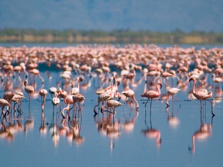 Lake Natron Activities
