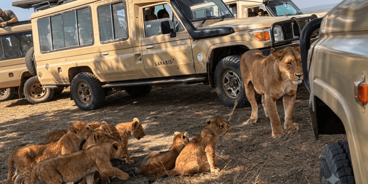 game-drive-safari (1)