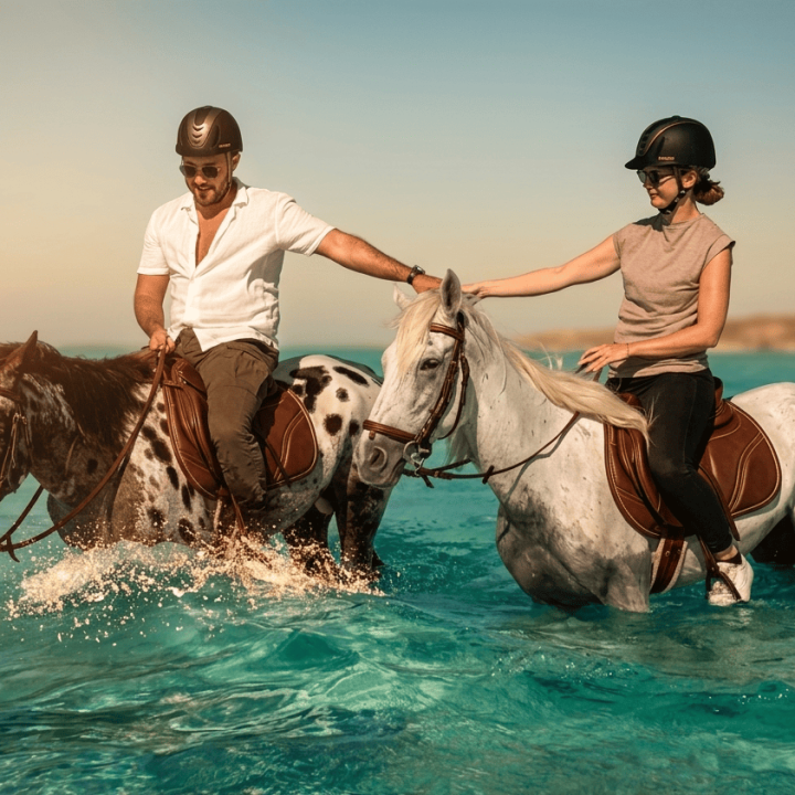 honeymoon-safari