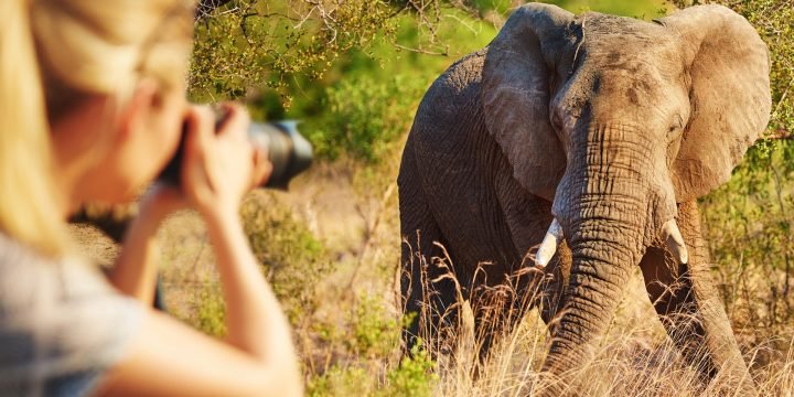 photographic-safari-tanzania